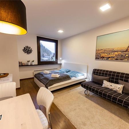 Appartement Sportwerk Göstling an der Ybbs Eksteriør billede